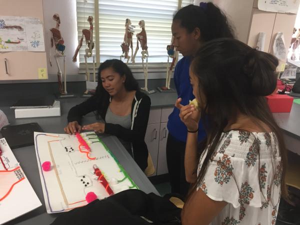 Kids studying science in San Diego Unified School District